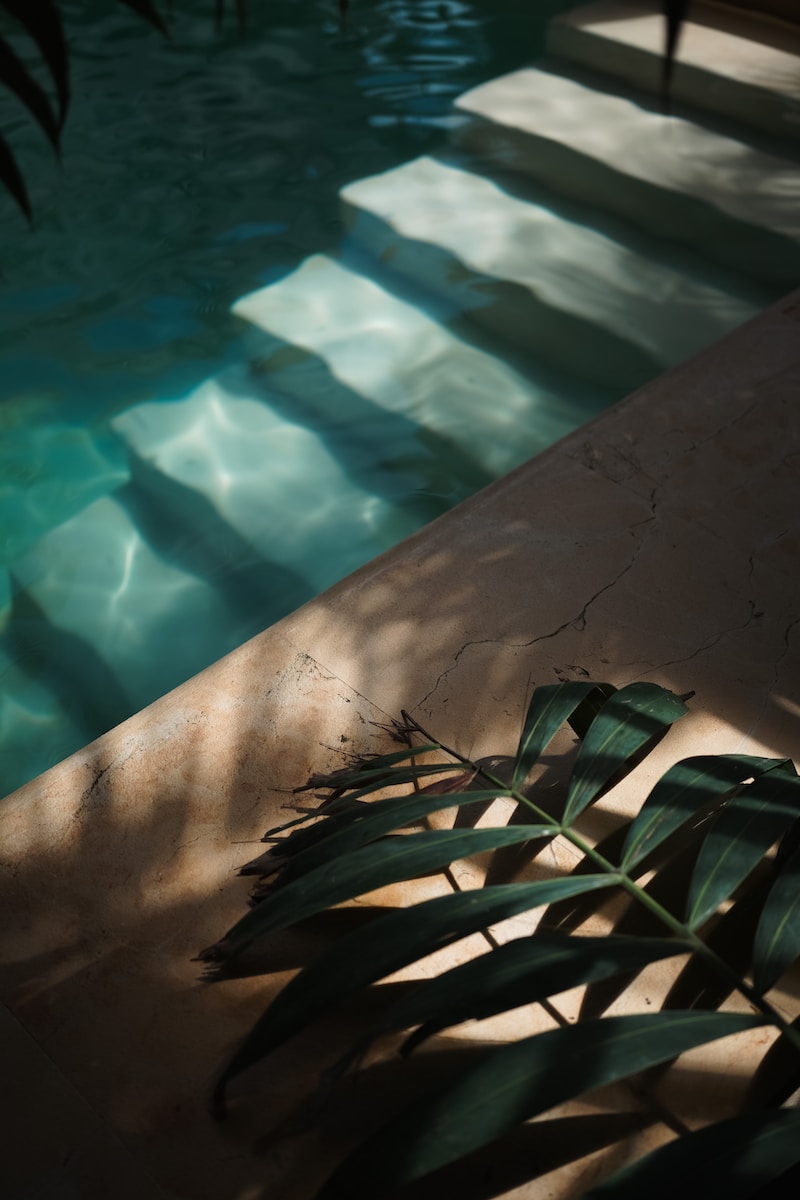 the shadow of a palm leaf on the floor of a swimming pool